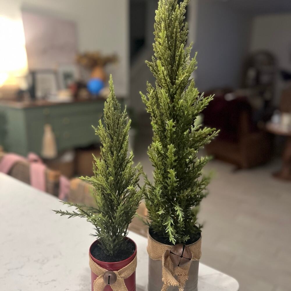 (2) Christmas Tree decor in cans